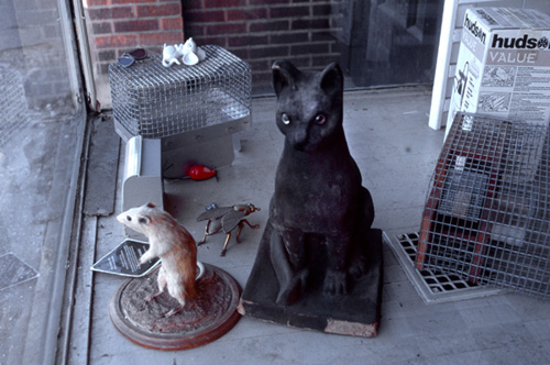 Exterminator, Chicago, 2002