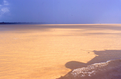 Morning on the Amazon, 2001